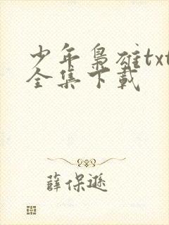 少年枭雄txt全集下载