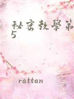 秘密教学第105