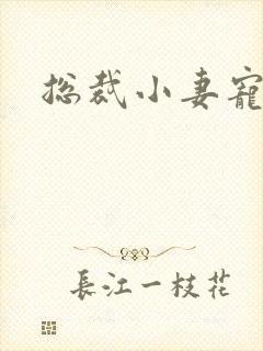 总裁小妻宠上天