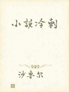 小说冷刺