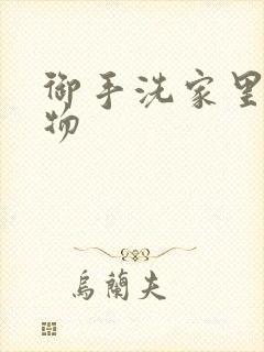 御手洗家里的事物