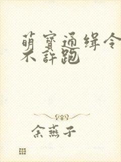 萌宝通缉令妈味不许跑