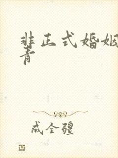 非正式婚姻雾里青