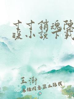 寸寸销魂陈聪王暖小说下载