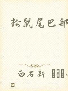 松鼠尾巴那么软