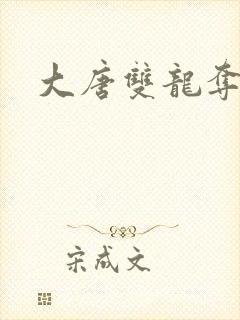 大唐双龙夺艳记