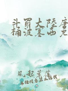 斗罗大陆唐三爆桶波塞西免费P站