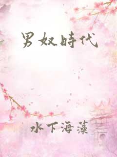 男奴时代