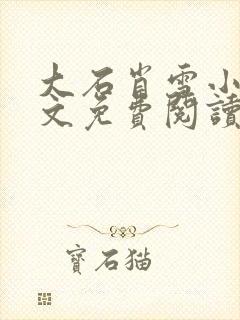 大石肖雪小说全文免费阅读