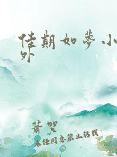 佳期如梦小说番外