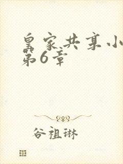 皇家共享小公主第6章