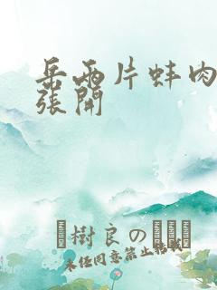 岳两片蚌肉缓缓张开