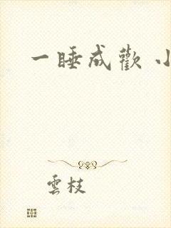 一睡成欢 小说