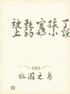 被教官揉了一晚上的奶小说