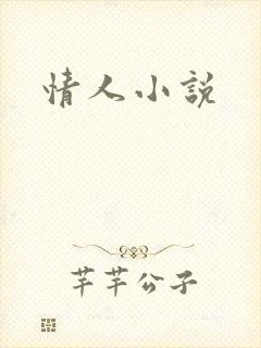 情人小说