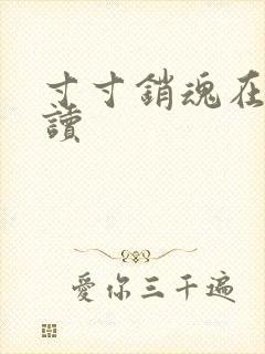 寸寸销魂在线阅读