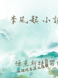 李风起 小说