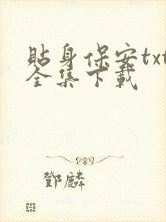 贴身保安txt全集下载