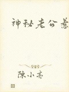 神秘老公惹不起