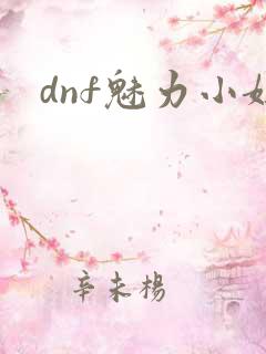 dnf魅力小妞