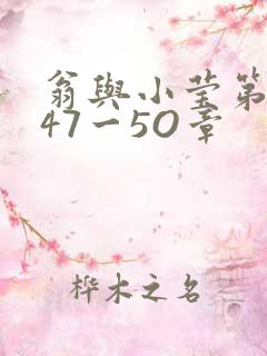 翁与小莹第十部47一5O章
