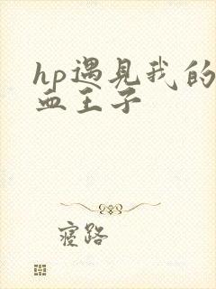 hp遇见我的混血王子