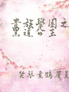 贵族学园之我的黑道公主