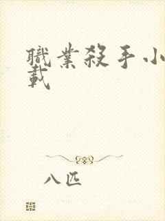 职业杀手小说下载