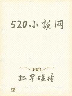 520小说网