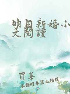 明日新婚小说全文阅读