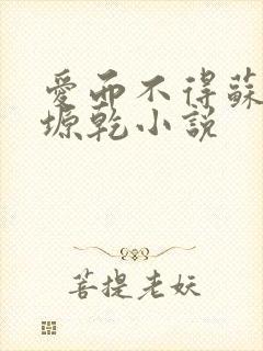 爱而不得苏路顾塬乾小说