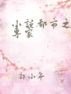 小说都市之军火专家