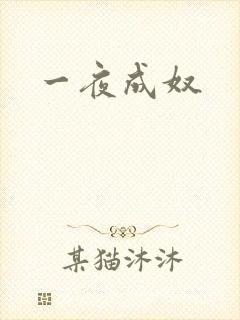 一夜成奴