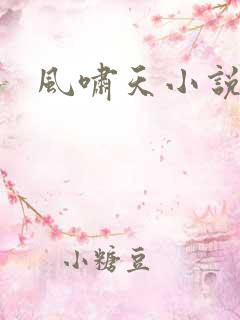 风啸天小说