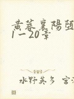 黄蓉襄阳堕落史1一20章