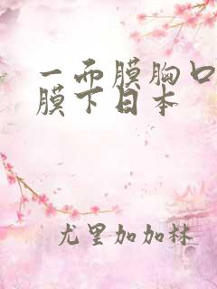 一面膜胸口一面膜下日本