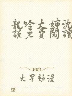 龙吟大婶沈浩小说免费阅读笔趣阁