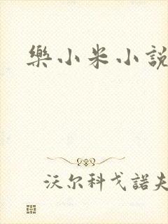乐小米小说下载