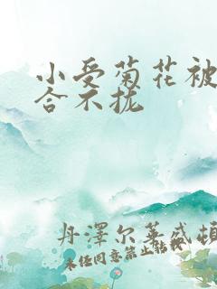 小受菊花被双龙合不拢