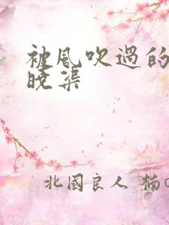 被风吹过的夏天晓渠