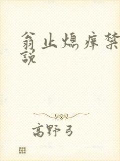 翁止熄痒禁伦小说