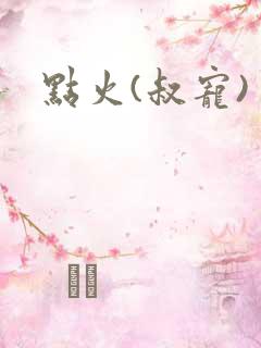 点火(叔宠)