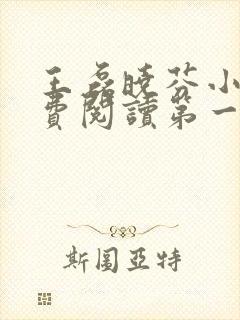 王磊晓芬小说免费阅读第一章