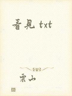 看见 txt