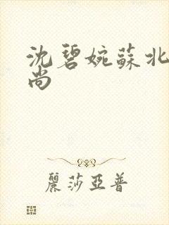 沈碧婉苏北宸和尚