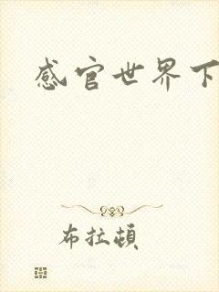 感官世界下载
