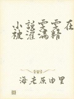 小说雯雯在工地被灌满精