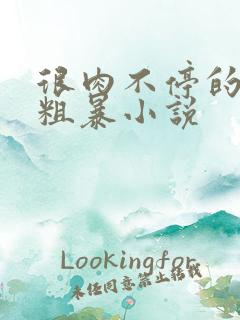 很肉不停的做很粗暴小说