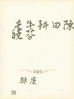 老牛耕田陈雪杨晓芬