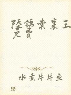 陆锦棠襄王全文免费